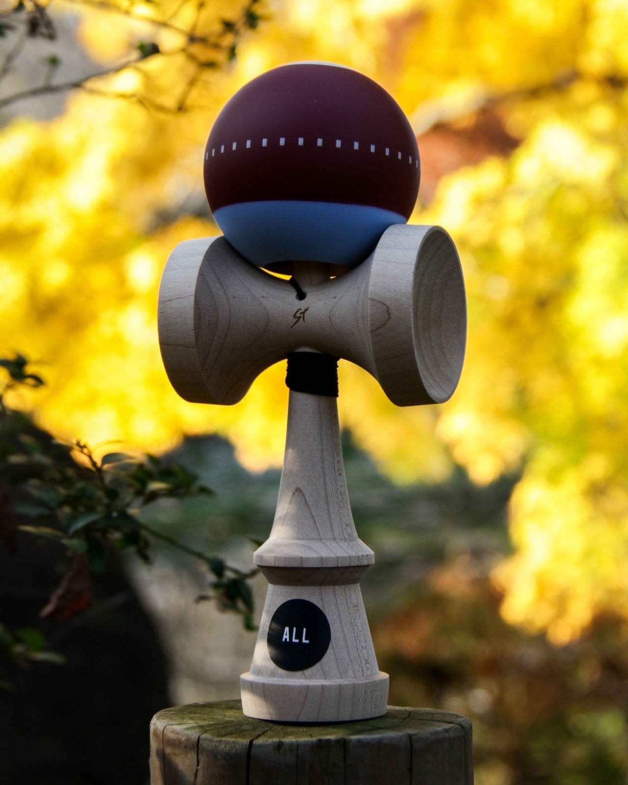 ALL ST MOD25AW BGD/SAX - Maple